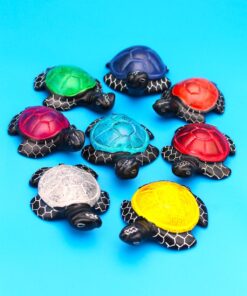 527 Kleine flache Schildkröte bunt