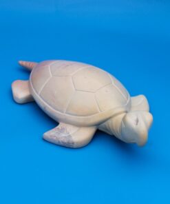 937 Schildkröte natur medium